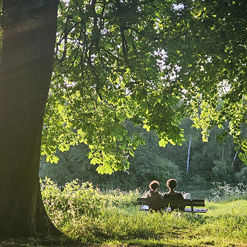 hampstead walks couple on the bench portrait 500 x 500