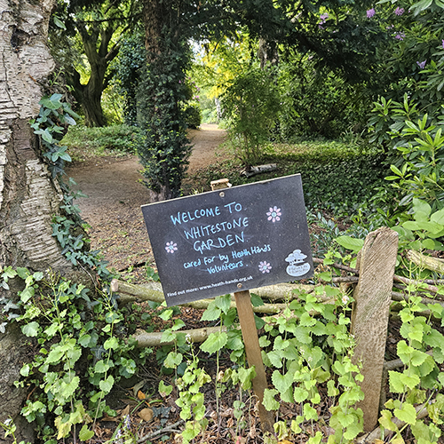 hampstead walks whitestone garden 500 x 500